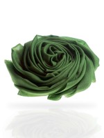 Светло-зеленый палантин из 100% кашемира "Meadow Green"